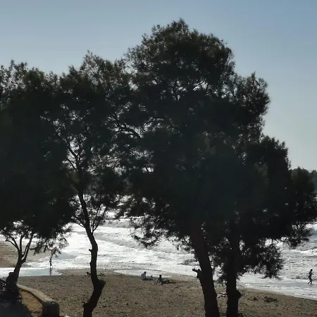 Manousos * Chania (Crete)